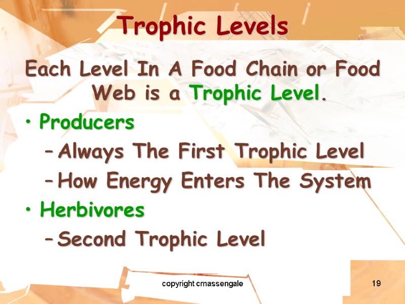 19 Trophic Levels Each Level In A Food Chain or Food Web is a